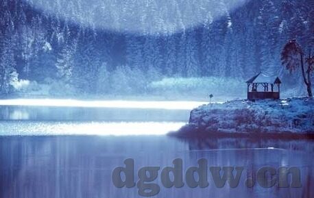 gdcm01.果冻传媒-探索果冻传媒的创意之旅，GDCM01的独特魅力