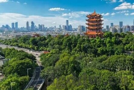 国模麻豆视频-赏悦文化洗礼，探析国模麻豆视频的魅力与界限