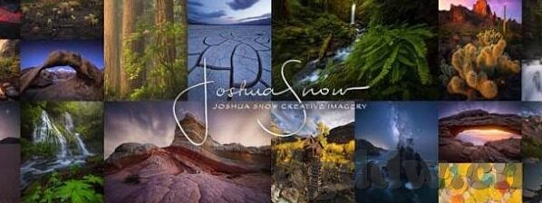 麻豆91下载-麻豆91下载，网络下载平台与内容消费的多元化探索