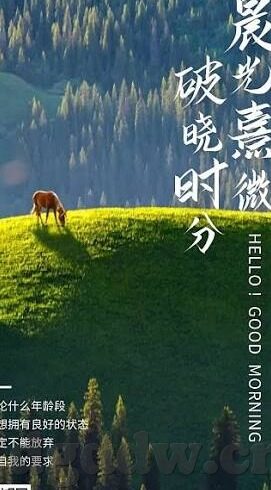 麻豆传媒国产在哪看-关于如何合法、合规地欣赏本土文化作品的指南