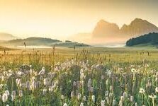 麻豆传媒直播app官网最新-麻豆传媒直播应用，探索全新娱乐体验的数字舞台