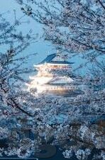 麻豆经济视频百度云-麻豆经济视频在数字时代的云中伸长