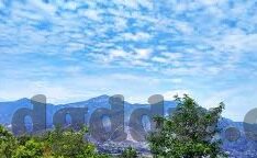 人妻无奈迎合粗大-微妙的平衡，人妻在家庭与自我间的细腻行走