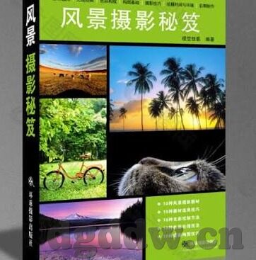 日韩2000av影院-探索日韩AV影院的独特魅力与文化视角