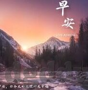 糖心果app-揭秘糖心果app，甜蜜中的隐秘角落