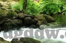糖心vlogapp官网入口-糖心vlogapp，记录生活，玩转精彩