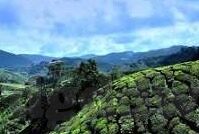 www日韩激情av-探索日韩影视文化的多元魅力，从www日韩激情av看文化交流的多样性